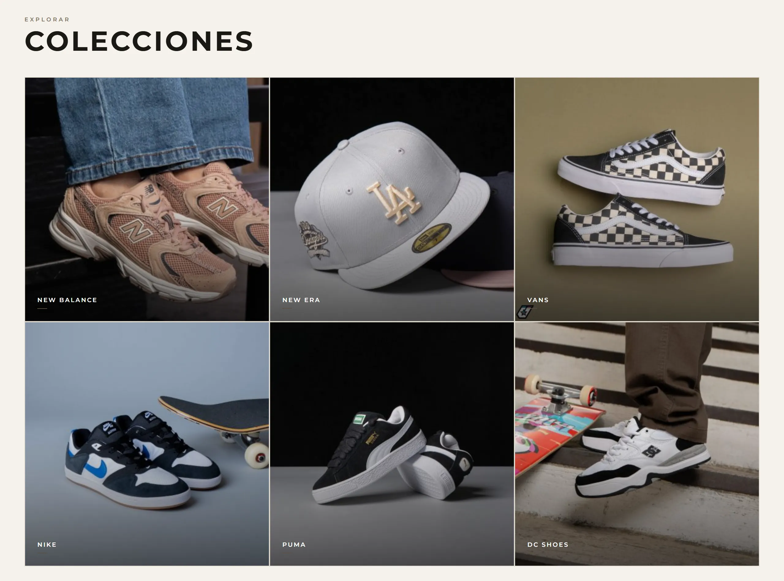 Catálogo digital con diseño Elegante hecho con Disecko — paleta Marfil